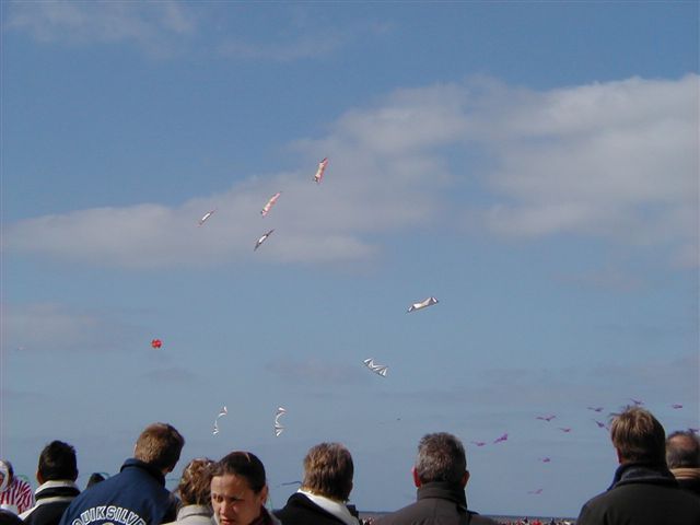 P4060056