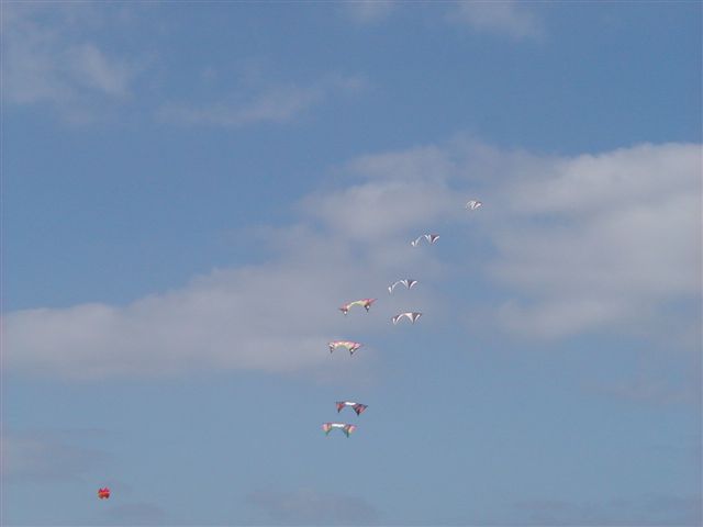 P4060057