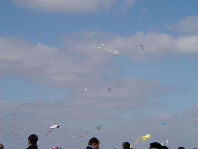 P4060058