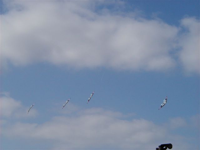 P4060059