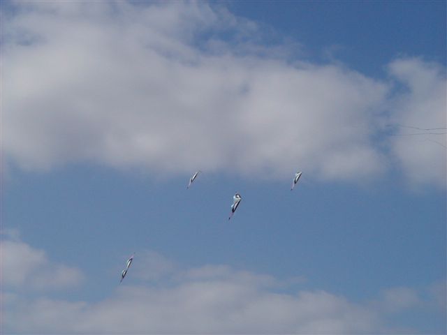 P4060060