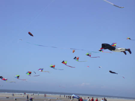 Arche delta d'eole  _26_Avril_Hardelot_2003