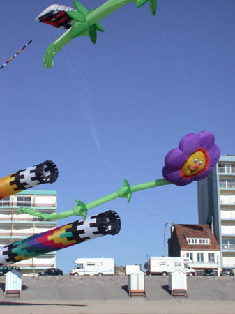 Bouquet volant_26_Avril_Hardelot_2003