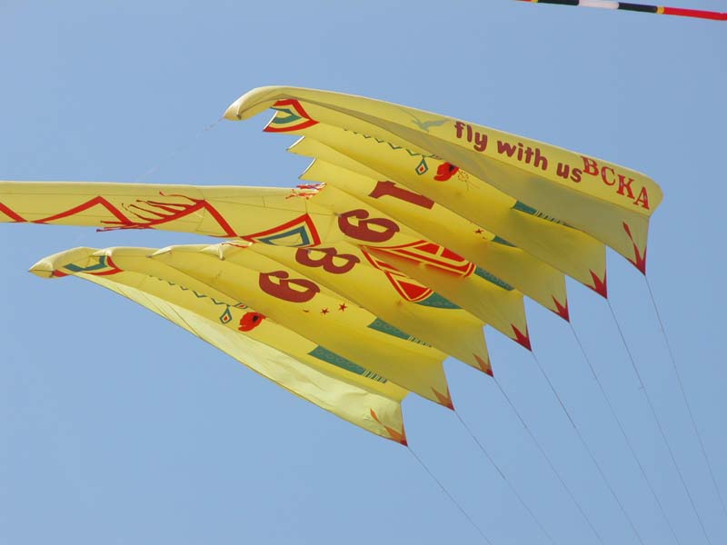  Aka kite cv club miztral