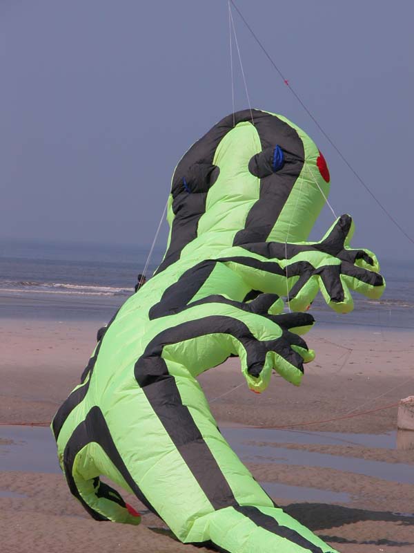 lezard 3