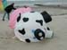 vache folle